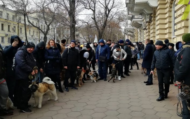 У здания полиции митинговали одесские собаковладельцы (ФОТО) Фото № 1 У здания полиции митинговали одесские собаковладельцы (ФОТО) Фото № 1