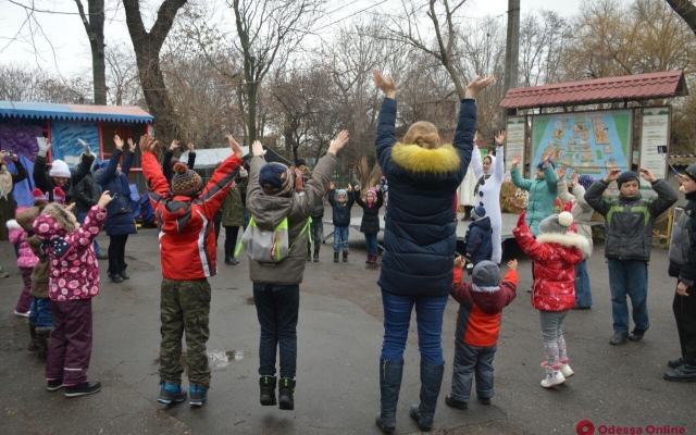 Как встретили Новый год в Одесском зоопарке Фото № 4 Как встретили Новый год в Одесском зоопарке Фото № 4