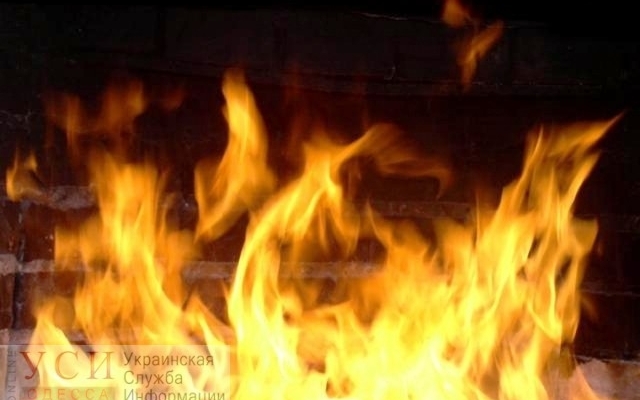 В Подольске мужчина сгорел в собственном доме Фото № 0 В Подольске мужчина сгорел в собственном доме Фото № 0