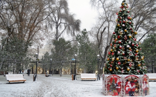Ёлка на Старосенной площади зажгла новогодние огни (ФОТО) Фото № 4 Ёлка на Старосенной площади зажгла новогодние огни (ФОТО) Фото № 4