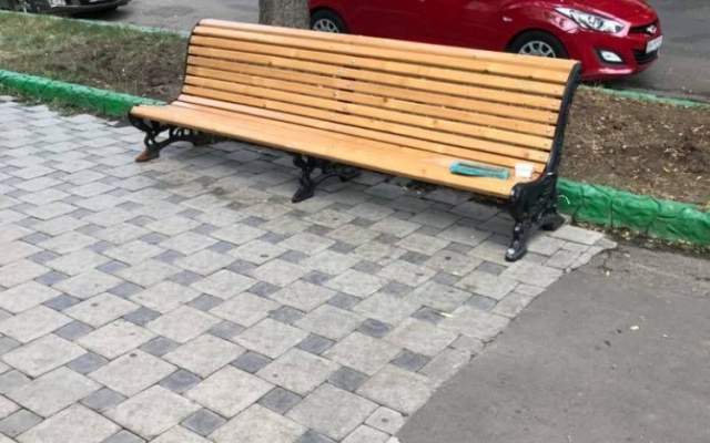 В Одессе украли кота-геймера (ФОТО, ВИДЕО) Фото № 1 В Одессе украли кота-геймера (ФОТО, ВИДЕО) Фото № 1
