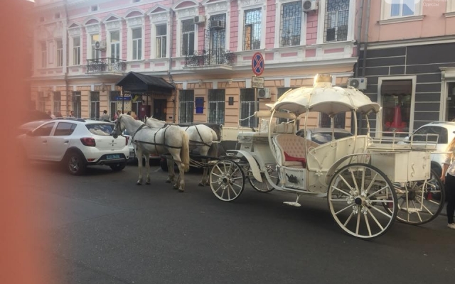 Одесский активист сдал в полицию карету с лошадьми (ФОТО) Фото № 2 Одесский активист сдал в полицию карету с лошадьми (ФОТО) Фото № 2