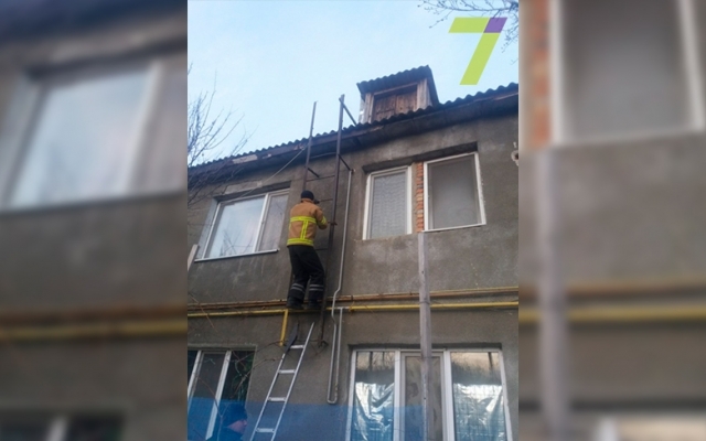 В Одесской области спасали кота, застрявшего на чердаке (ФОТО) Фото № 0 В Одесской области спасали кота, застрявшего на чердаке (ФОТО) Фото № 0