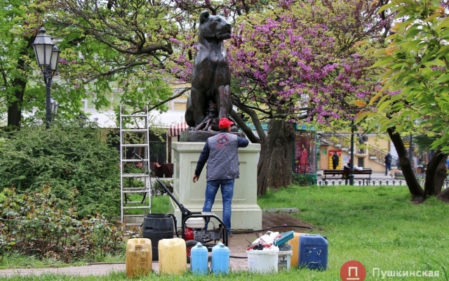 В Городском саду реставрируют скульптуру льва и львицы (ФОТО) Фото № 4 В Городском саду реставрируют скульптуру льва и львицы (ФОТО) Фото № 4