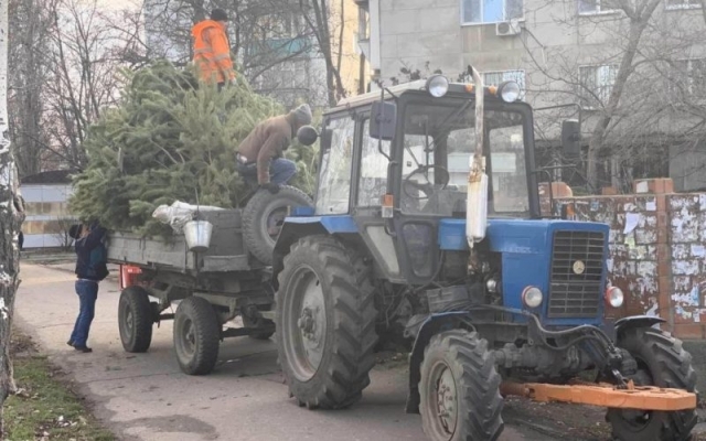 В Одессе нереализованные елки бросили прямо на улицах Фото № 0 В Одессе нереализованные елки бросили прямо на улицах Фото № 0