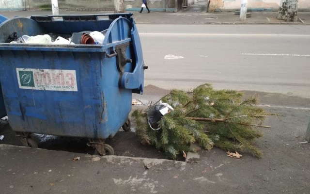 В Одессе продолжают выбрасывать новогодние ёлки (ФОТО) Фото № 3 В Одессе продолжают выбрасывать новогодние ёлки (ФОТО) Фото № 3