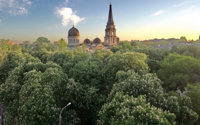 Цветущие одесский каштаны с высоты птичьего полёта (ФОТО) Фото № 2 Цветущие одесский каштаны с высоты птичьего полёта (ФОТО) Фото № 2