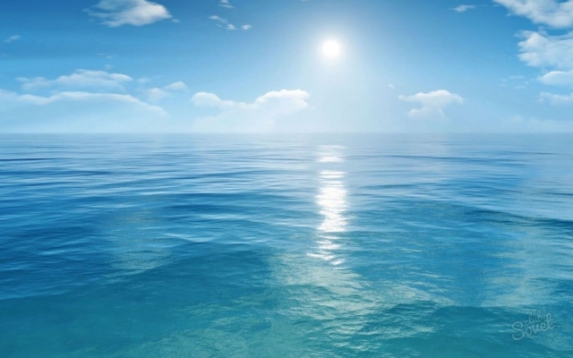 Затока: морская вода не соответствует нормам Фото № 0 Затока: морская вода не соответствует нормам Фото № 0