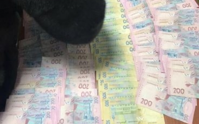 Полиция подтвердила факт нахождения головы убитой одесситки (ФОТО) Фото № 3 Полиция подтвердила факт нахождения головы убитой одесситки (ФОТО) Фото № 3