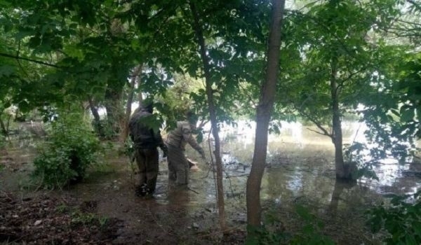 Жительница Одесской области утопилась на глазах у ребёнка-инвалида Фото № 0 Жительница Одесской области утопилась на глазах у ребёнка-инвалида Фото № 0