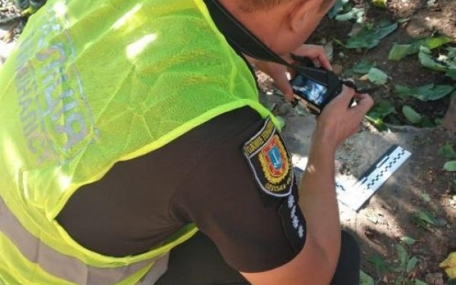 Во двор жилого дома в селе Граденицы бросили гранату (ФОТО) Фото № 1 Во двор жилого дома в селе Граденицы бросили гранату (ФОТО) Фото № 1