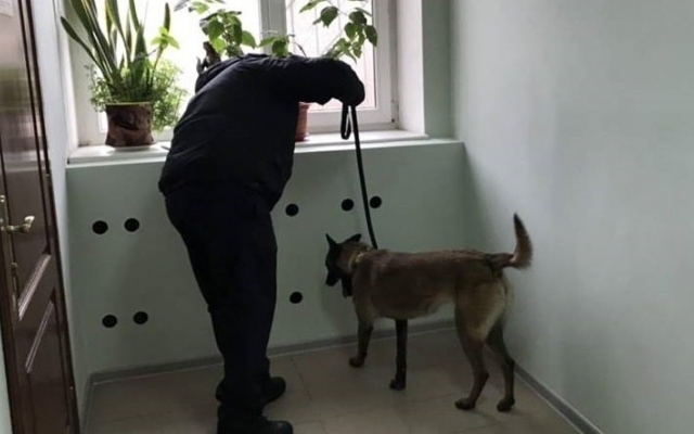 Одессит не смог попасть в бар и в отместку Одессит не смог попасть в бар и в отместку