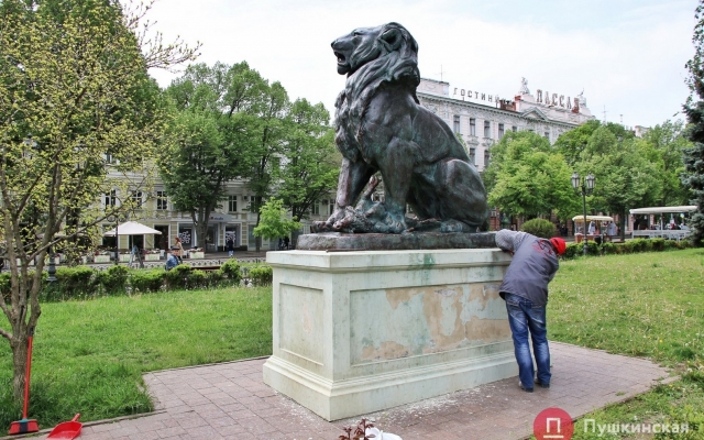 В Городском саду реставрируют скульптуру льва и львицы (ФОТО) Фото № 7 В Городском саду реставрируют скульптуру льва и львицы (ФОТО) Фото № 7