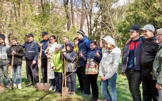 В Городском саду появилось 7 новых деревьев (ФОТО) Фото № 2 В Городском саду появилось 7 новых деревьев (ФОТО) Фото № 2