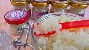 Заморский деликатес выращивают в Одесской области Фото № 1 Заморский деликатес выращивают в Одесской области Фото № 1