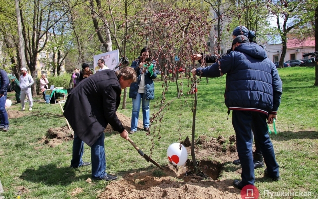 В Одессе люди с донорскими органами высадили В Одессе люди с донорскими органами высадили