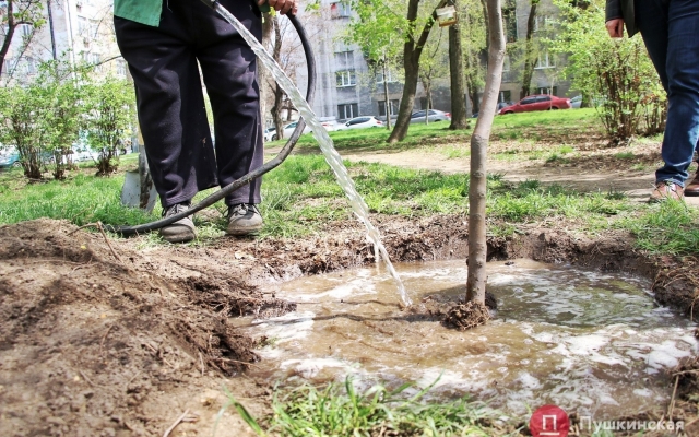 В Одессе люди с донорскими органами высадили В Одессе люди с донорскими органами высадили