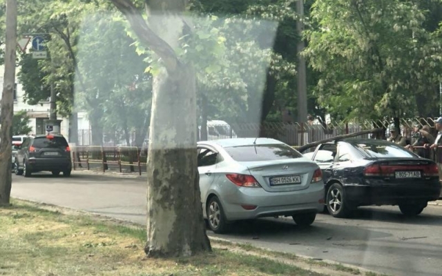 В Одессе из-за упавшего дерева ограничено движение некоторых троллейбусов Фото № 2 В Одессе из-за упавшего дерева ограничено движение некоторых троллейбусов Фото № 2