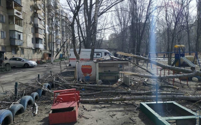 В Одессе на детской площадке рухнуло дерево: есть пострадавшие Фото № 0 В Одессе на детской площадке рухнуло дерево: есть пострадавшие Фото № 0