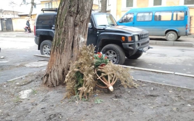 В Одессе продолжают выбрасывать новогодние ёлки (ФОТО) Фото № 2 В Одессе продолжают выбрасывать новогодние ёлки (ФОТО) Фото № 2