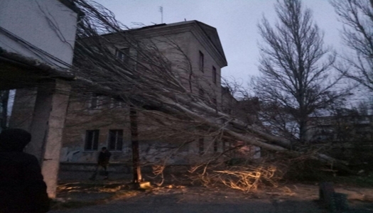 В Одессе на жилой дом упало дерево Фото № 0 В Одессе на жилой дом упало дерево Фото № 0