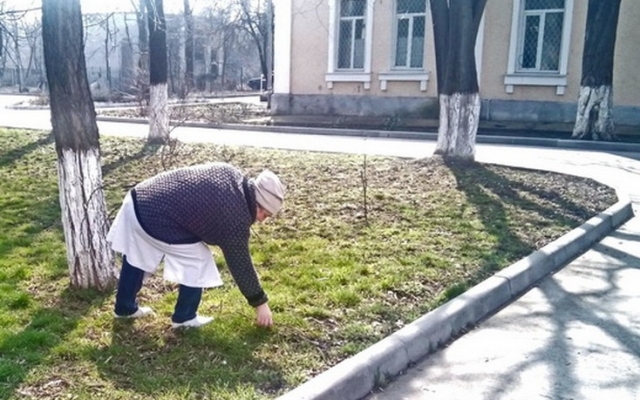Как одесские врачи город благоустраивали накануне праздников Фото № 0 Как одесские врачи город благоустраивали накануне праздников Фото № 0