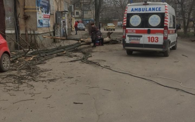 В Одессе на девушку упало дерево (ФОТО) Фото № 1 В Одессе на девушку упало дерево (ФОТО) Фото № 1