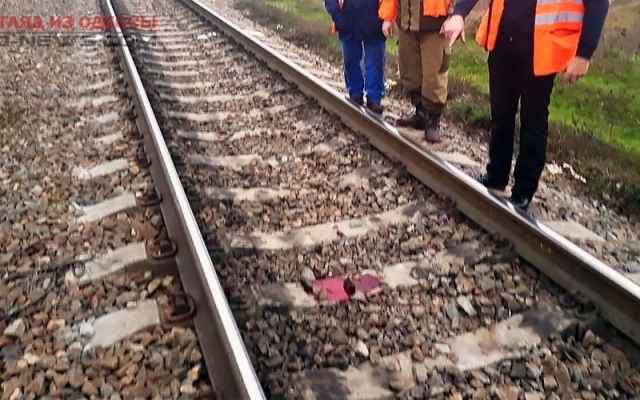 Под колёсами поезда в Беляевском районе скончался мужчина Фото № 0 Под колёсами поезда в Беляевском районе скончался мужчина Фото № 0