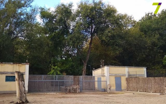 Сегодня в зоопарке давали имена малышам, которые родились в этом году Фото № 1 Сегодня в зоопарке давали имена малышам, которые родились в этом году Фото № 1