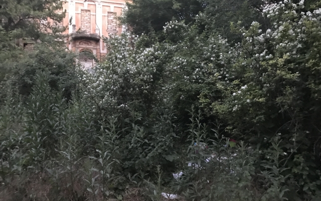 Центральный парк Одессы утопает в мусоре (ФОТО) Фото № 3 Центральный парк Одессы утопает в мусоре (ФОТО) Фото № 3