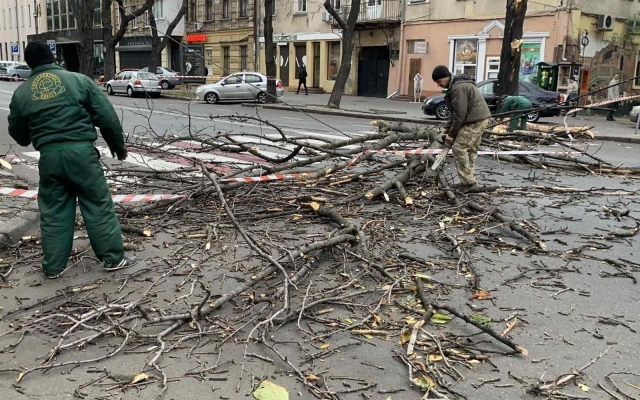 В Одесе сильный ветер валит деревья Фото № 0 В Одесе сильный ветер валит деревья Фото № 0