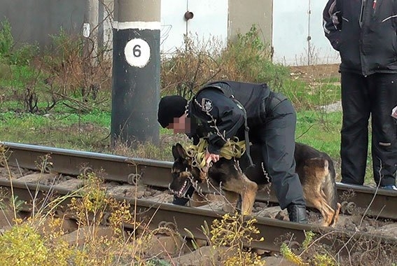 В Одесской области найдено тело женщины у железнодорожных путей Фото № 2 В Одесской области найдено тело женщины у железнодорожных путей Фото № 2