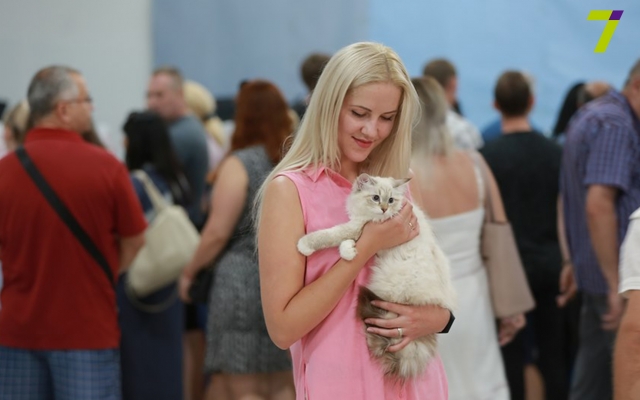 Международная выставка кошек в Одессе, не перестает удивлять (ФОТО) Фото № 11 Международная выставка кошек в Одессе, не перестает удивлять (ФОТО) Фото № 11