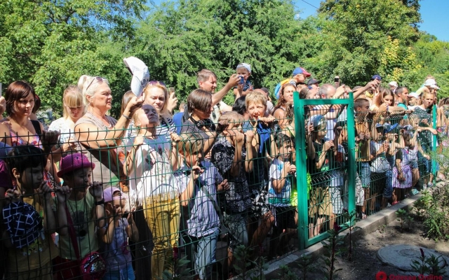 В одесском зоопарке отметили День тигра (ФОТО) Фото № 1 В одесском зоопарке отметили День тигра (ФОТО) Фото № 1