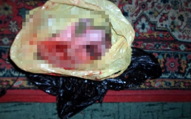 Молодая женщина дома родила мёртвого ребёнка и несколько дней держала его в морозилке Фото № 8 Молодая женщина дома родила мёртвого ребёнка и несколько дней держала его в морозилке Фото № 8