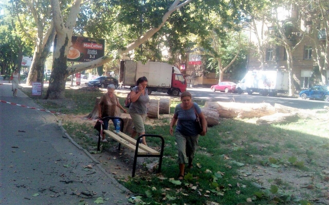 В Одессе спилили платан, который ураган сломал пять лет назад (ФОТО) Фото № 0 В Одессе спилили платан, который ураган сломал пять лет назад (ФОТО) Фото № 0