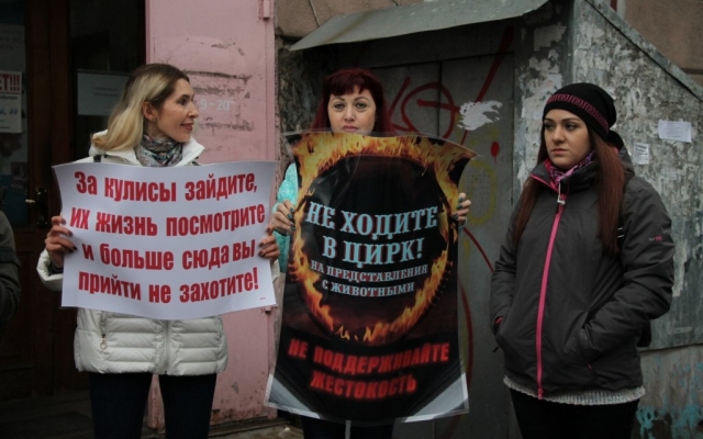 Зоозащитники вновь вышли под стены Одесского цирка (ФОТО) Фото № 2 Зоозащитники вновь вышли под стены Одесского цирка (ФОТО) Фото № 2