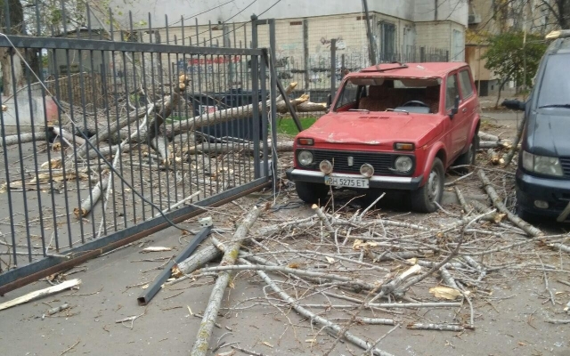 В Одесе сильный ветер валит деревья Фото № 3 В Одесе сильный ветер валит деревья Фото № 3