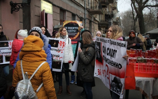 Зоозащитники вновь вышли под стены Одесского цирка (ФОТО) Фото № 4 Зоозащитники вновь вышли под стены Одесского цирка (ФОТО) Фото № 4