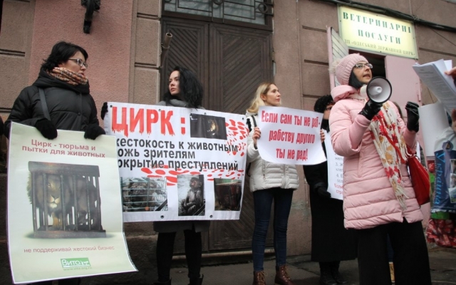 Зоозащитники вновь вышли под стены Одесского цирка (ФОТО) Фото № 6 Зоозащитники вновь вышли под стены Одесского цирка (ФОТО) Фото № 6