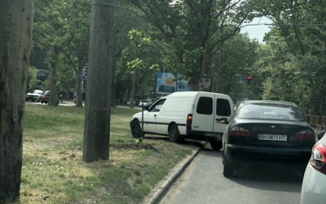 В Одессе из-за упавшего дерева ограничено движение некоторых троллейбусов Фото № 1 В Одессе из-за упавшего дерева ограничено движение некоторых троллейбусов Фото № 1