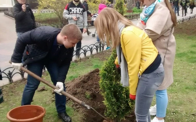 В Городском саду появилось 7 новых деревьев (ФОТО) Фото № 1 В Городском саду появилось 7 новых деревьев (ФОТО) Фото № 1