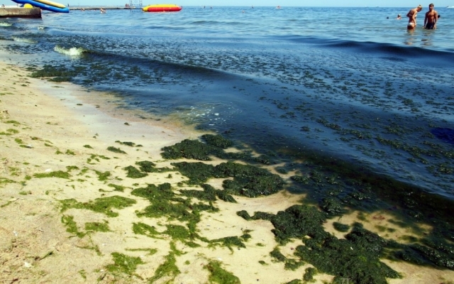 После непогоды в Черное море попали тонны нечистот Фото № 0 После непогоды в Черное море попали тонны нечистот Фото № 0