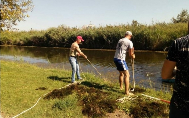 Измаил: водоём возле порта очищен от водорослей и мусора (ФОТО) Фото № 4 Измаил: водоём возле порта очищен от водорослей и мусора (ФОТО) Фото № 4