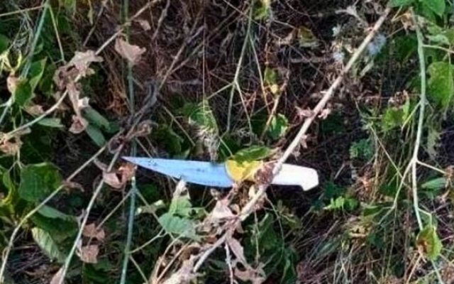 Житель Одесской области напал на отца и брата жены Фото № 0 Житель Одесской области напал на отца и брата жены Фото № 0