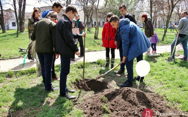 В Одессе люди с донорскими органами высадили В Одессе люди с донорскими органами высадили