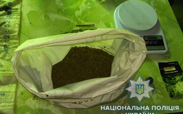 В Болграде обнаружена теплица с наркотиками Фото № 0 В Болграде обнаружена теплица с наркотиками Фото № 0