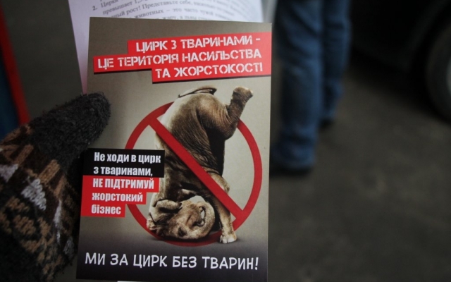 Зоозащитники вновь вышли под стены Одесского цирка (ФОТО) Фото № 9 Зоозащитники вновь вышли под стены Одесского цирка (ФОТО) Фото № 9