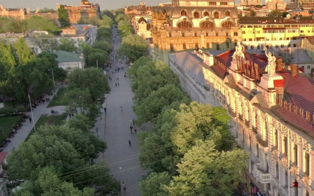 Цветущие одесский каштаны с высоты птичьего полёта (ФОТО) Фото № 3 Цветущие одесский каштаны с высоты птичьего полёта (ФОТО) Фото № 3