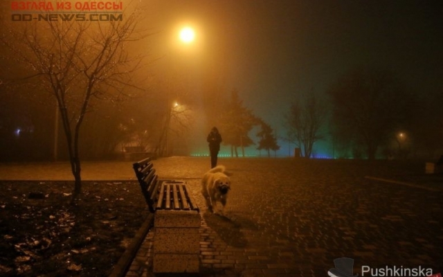 Завораживающая Одесса в тумане (ФОТО) Фото № 3 Завораживающая Одесса в тумане (ФОТО) Фото № 3
